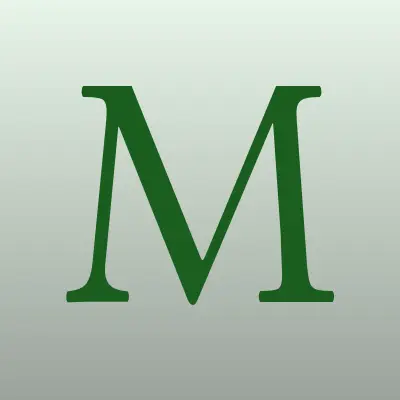 Мир шаров, магазин, лого-визитка